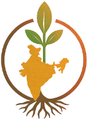 Indiroot Exims